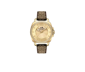 Buy Coach Boyfriend Crystal Watch 34mm Khaki Gold (Women's) at Sasom – Authentic and Ready to Ship