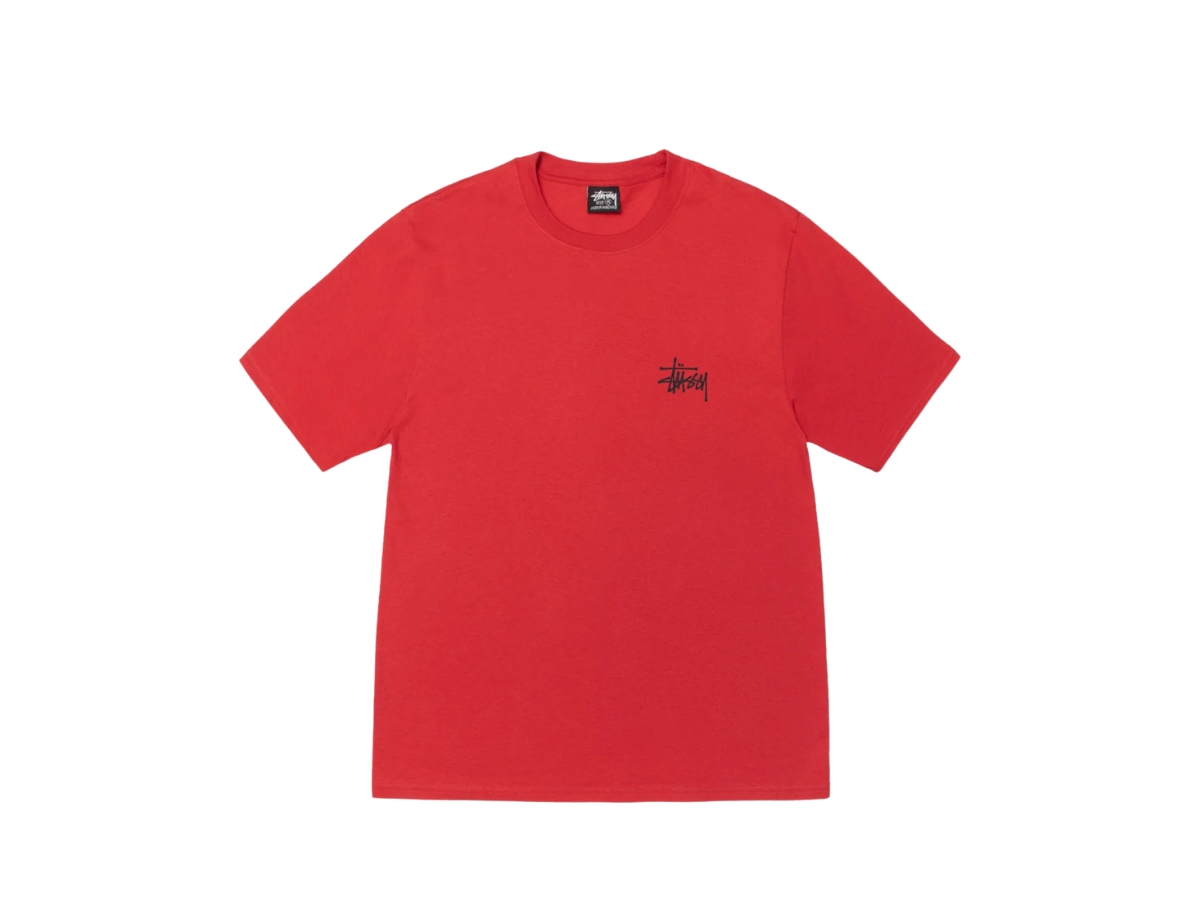 https://d2cva83hdk3bwc.cloudfront.net/1905000-CAYA-stussy-basic-stussy-tee-cayenne-2.jpg