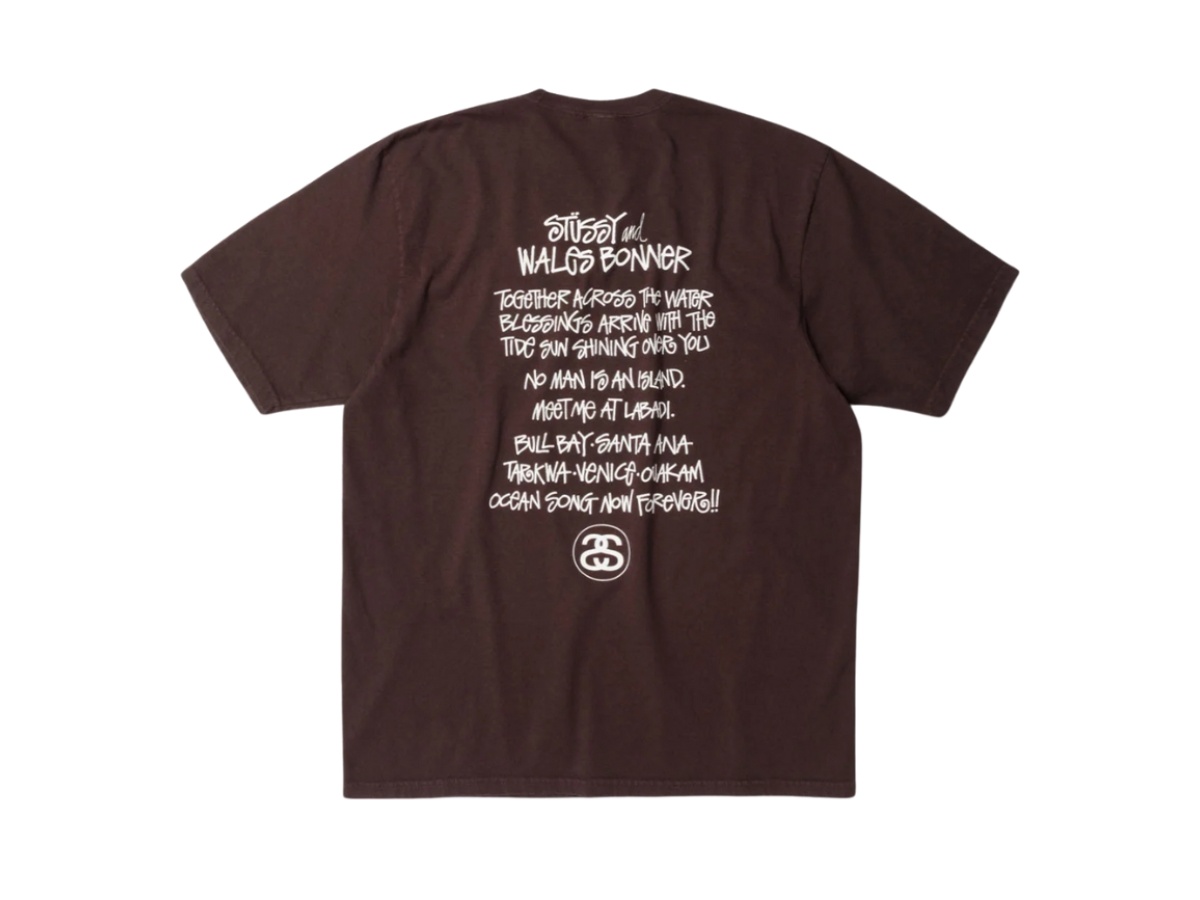 https://d2cva83hdk3bwc.cloudfront.net/3904025-brown-stussy-wales-bonner-ocean-song-tee-brown-2.jpg