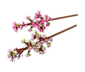 Buy LEGO Cherry Blossoms Building Blocks at Sasom – Authentic and Ready to Ship