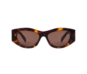 Celine Triomphe 15 Sunglasses In Acetate With Brown Lenses