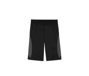Buy Puma x San San Gear  Men's Shorts Black at Sasom – Authentic and Ready to Ship