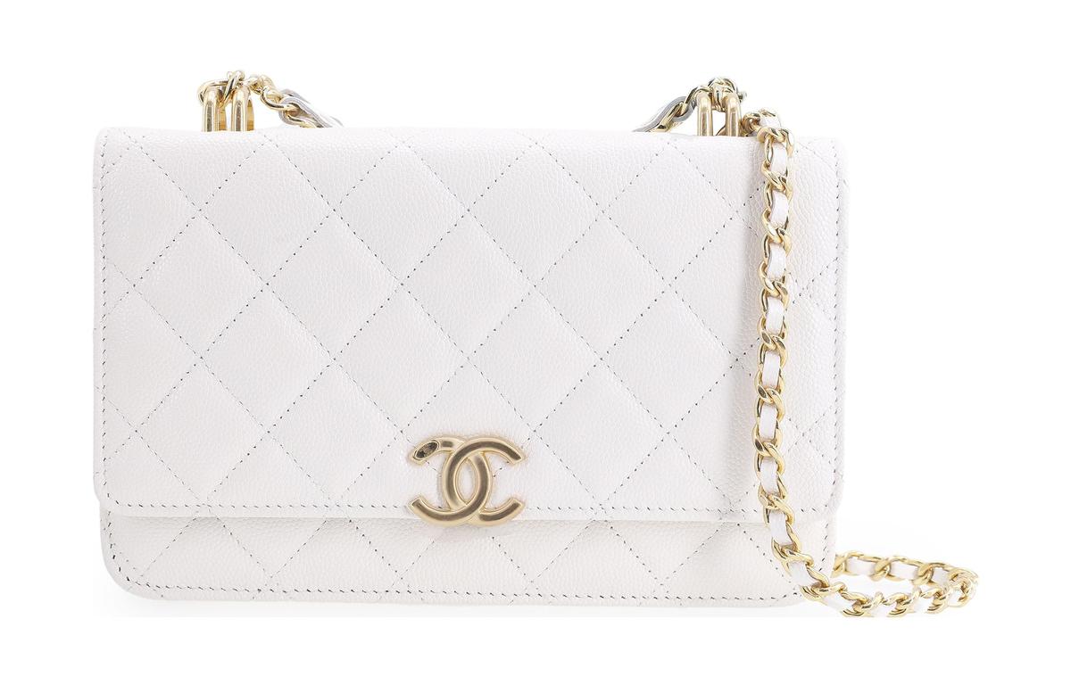 https://d2cva83hdk3bwc.cloudfront.net/AP3019-B09221-10601-chanel-woc-wallets-1.jpg
