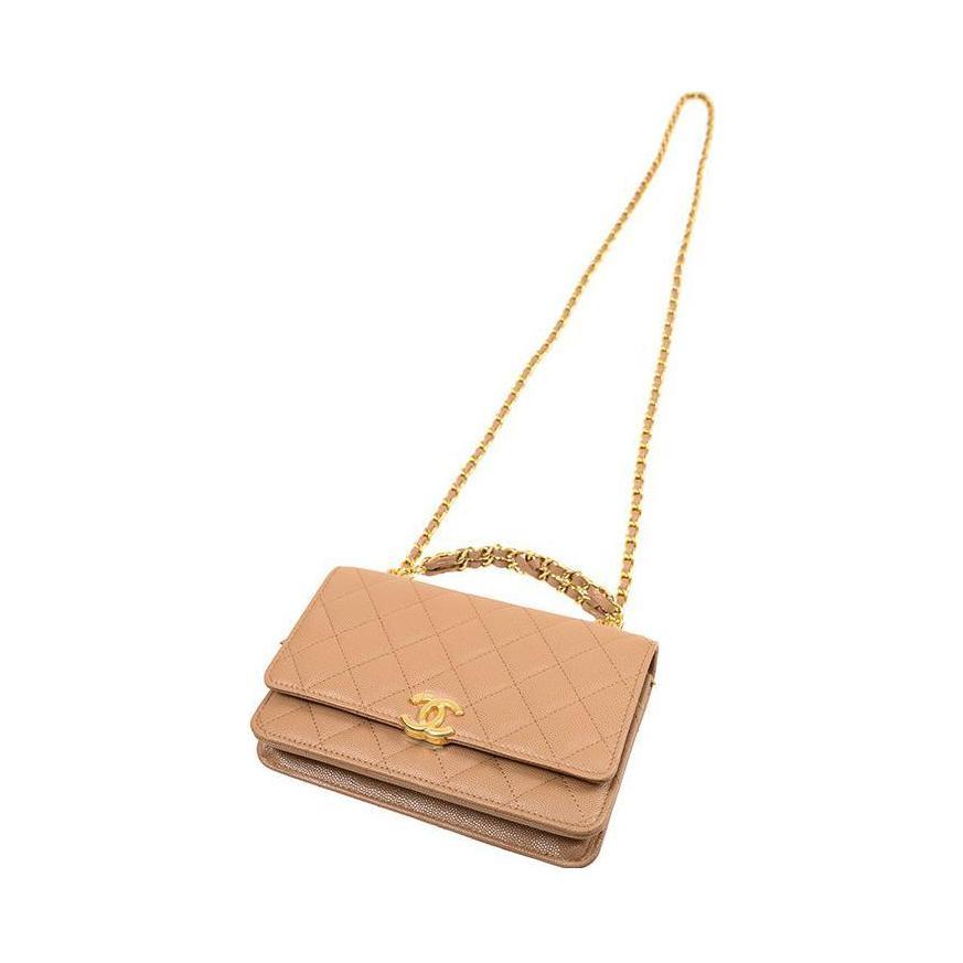https://d2cva83hdk3bwc.cloudfront.net/AP3019-B09221-NK288-chanel-woc-wallets-1.jpg