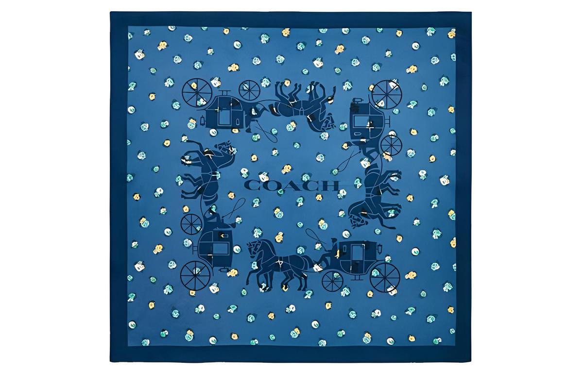 https://d2cva83hdk3bwc.cloudfront.net/C0007-SKB-coach-silk-scarves-women-s-dark-blue-1.jpg