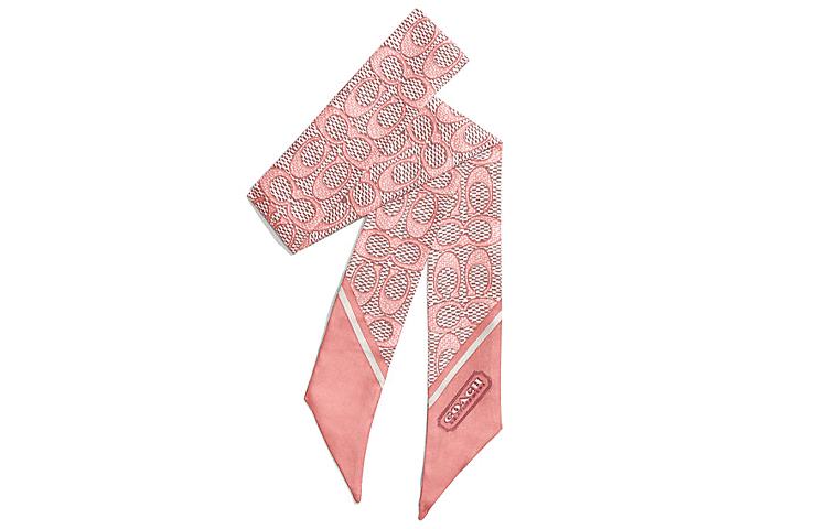https://d2cva83hdk3bwc.cloudfront.net/C2783-RZH-coach-silk-scarves-women-s-multicolor-1.jpg