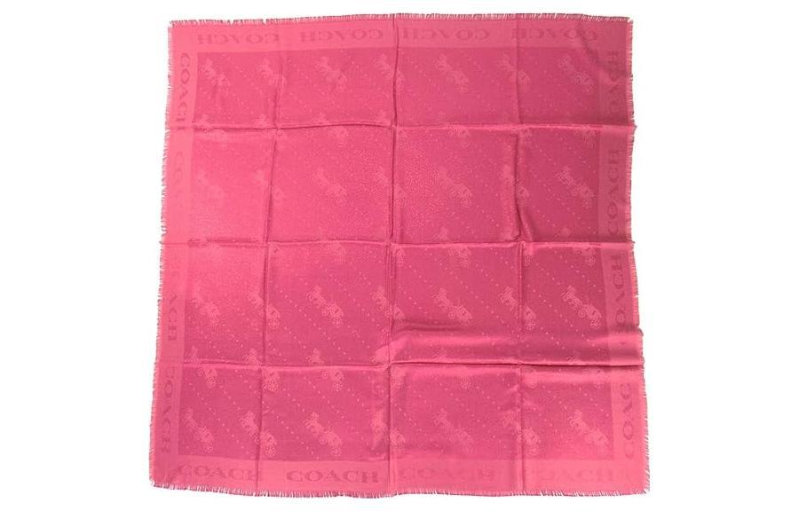 https://d2cva83hdk3bwc.cloudfront.net/C6387-coach-knit-scarves-women-s-1.jpg