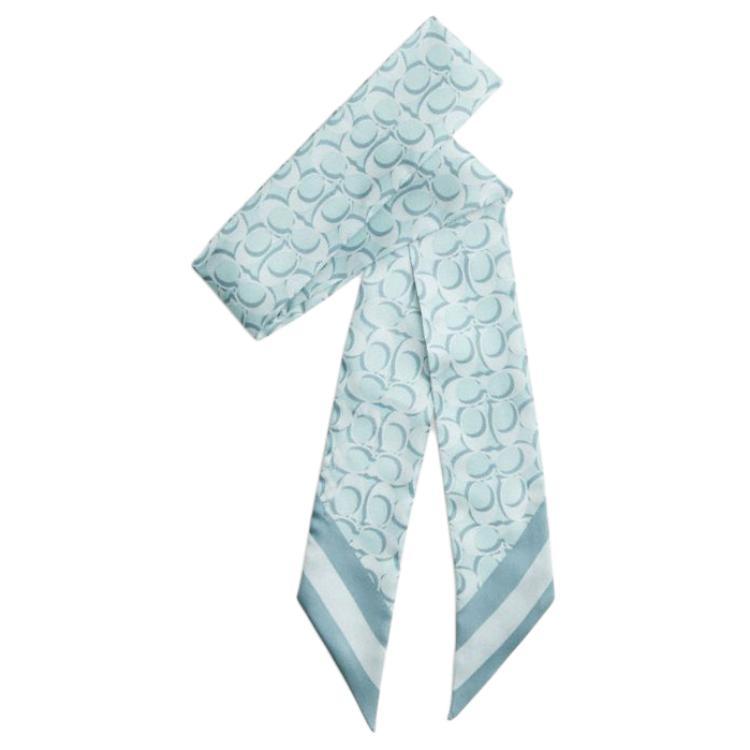 https://d2cva83hdk3bwc.cloudfront.net/C8363-LBL-coach-silk-scarves-unisex-1.jpg