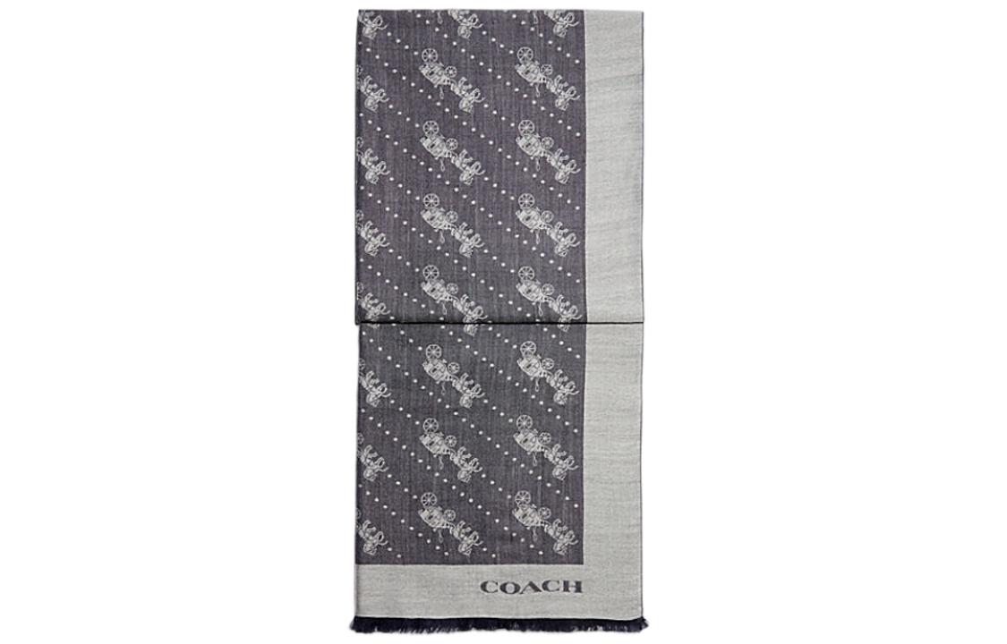 https://d2cva83hdk3bwc.cloudfront.net/C8367-DWP-coach-knit-scarves-women-s-gray-1.jpg