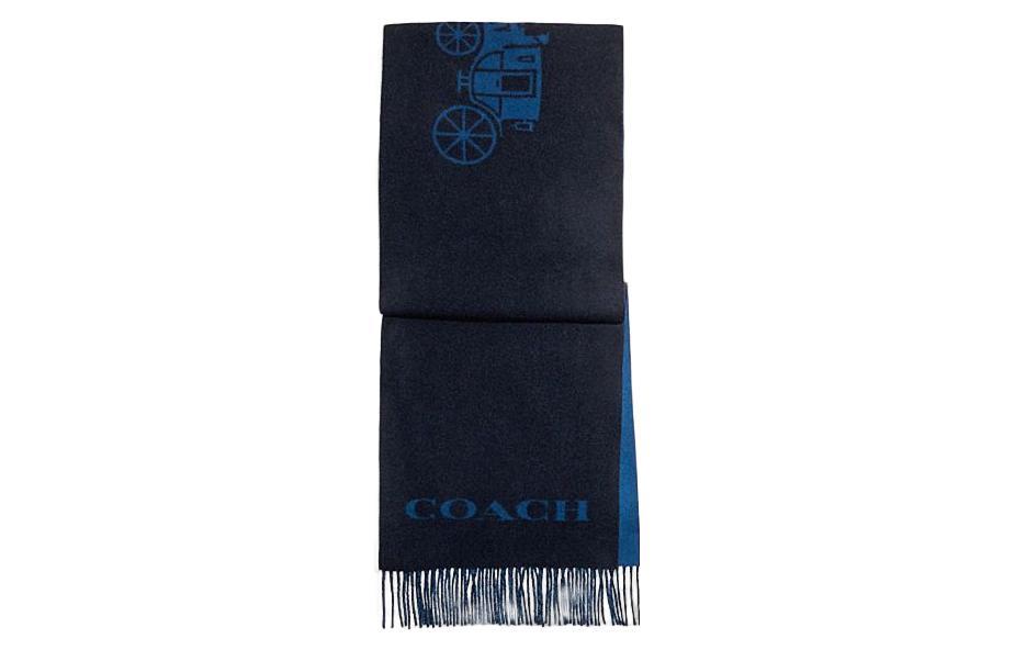 https://d2cva83hdk3bwc.cloudfront.net/CB694-DWP-coach-knit-scarves-unisex-blue-1.jpg