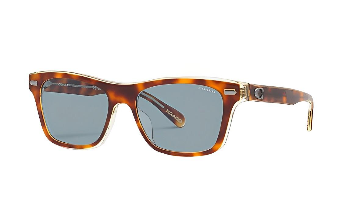 Coach Sunglasses Women's Brown