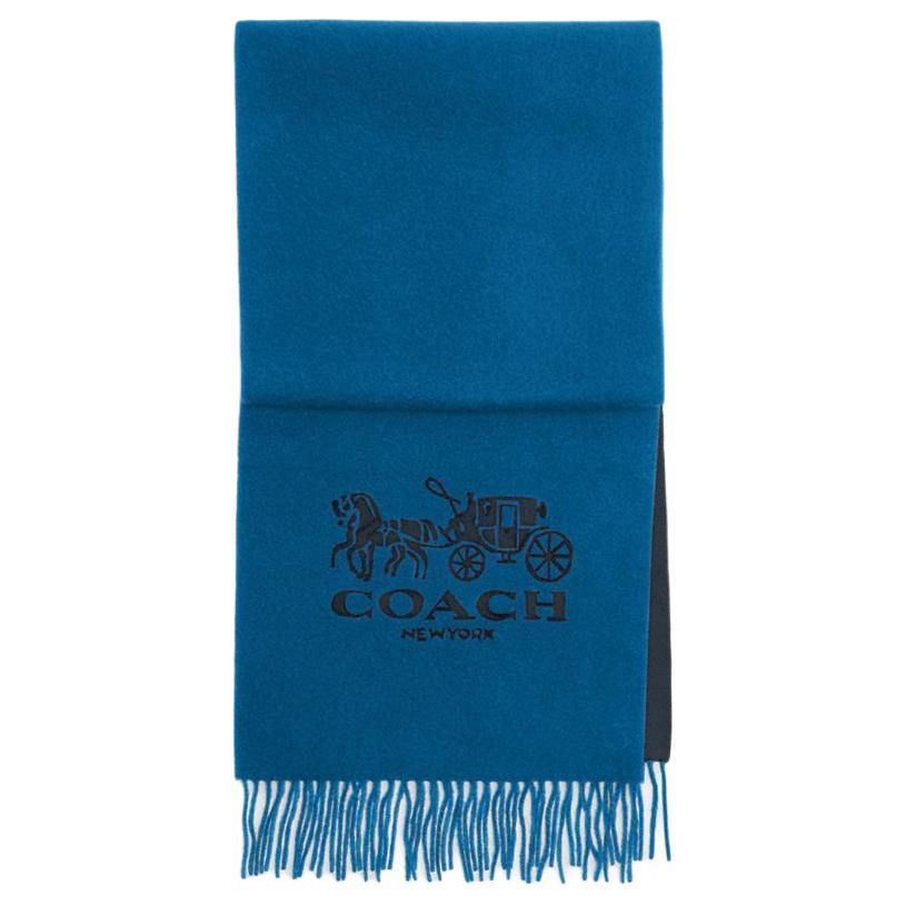 https://d2cva83hdk3bwc.cloudfront.net/CM061-M3W-coach-cashmere-knit-scarves-unisex-blue-1.jpg