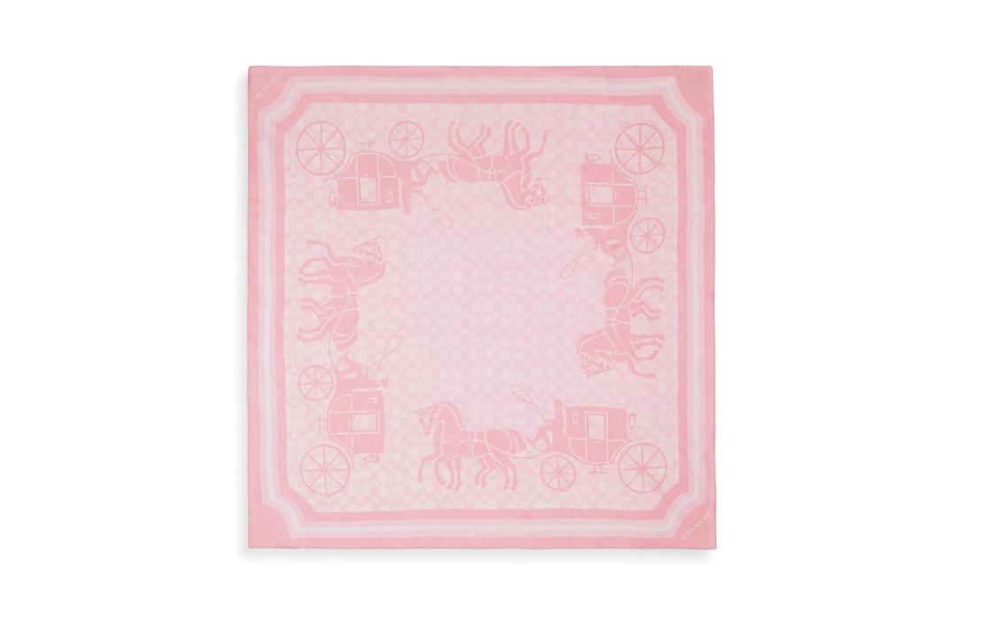 Coach Silk Scarves Women's Pink