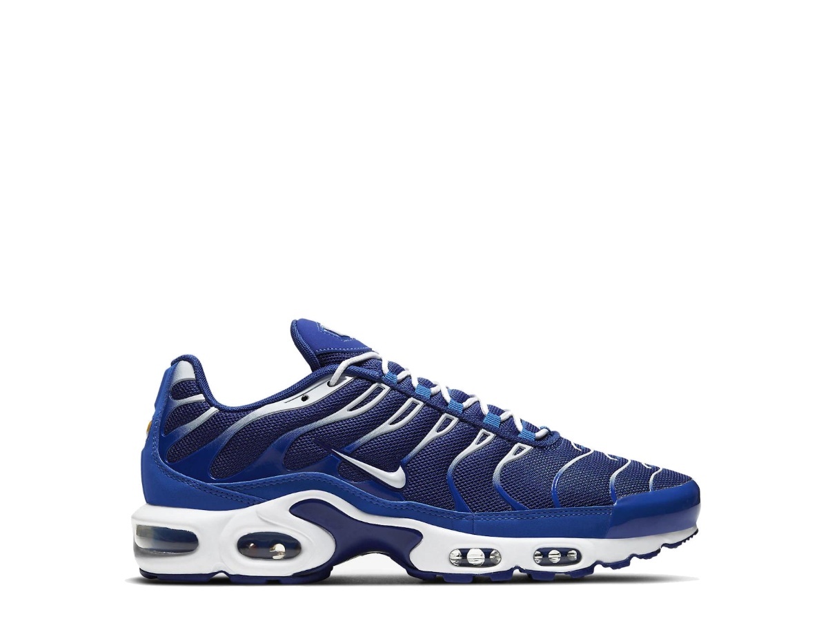 nike air max plus arctic chill