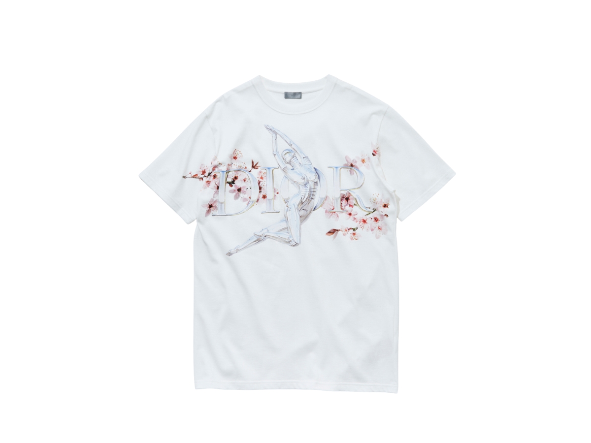 https://d2cva83hdk3bwc.cloudfront.net/DOR-TSADXHSTSWTM55-dior-x-hajime-sorayama-t-shirt-white-1.jpg