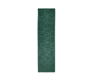 LOEWE｜ (Squid Scarf in mohair & wool (FSA6SS1X10 4412)) Loewe Squid scarf in mohair and wool blend | REVERSIBLE