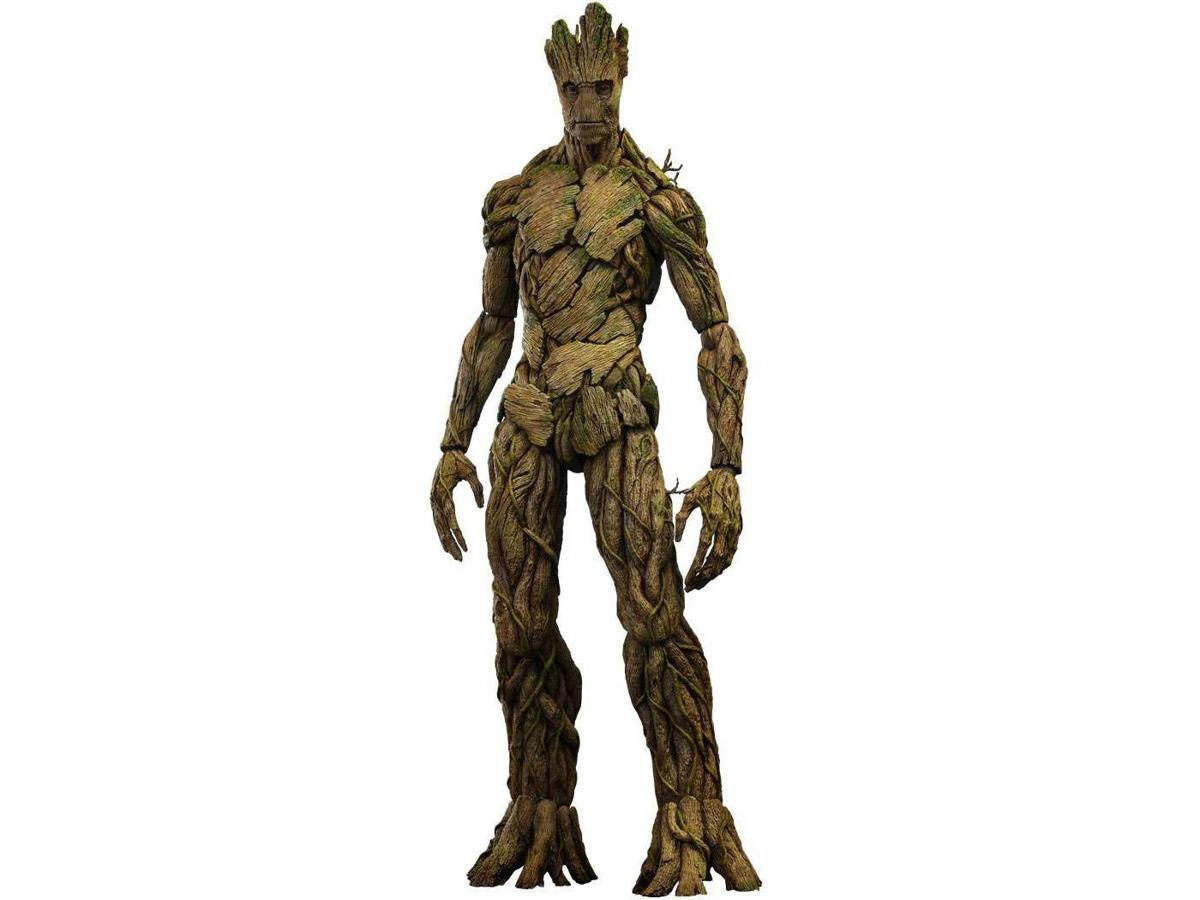 https://d2cva83hdk3bwc.cloudfront.net/G-HOT-5C2D305-hot-toys-marvel-movie-masterpiece-groot-collectible-figure-1.jpg