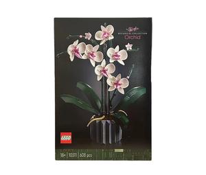 Buy LEGO Botanical Collection Orchid Set 10311 at Sasom – Authentic and Ready to Ship