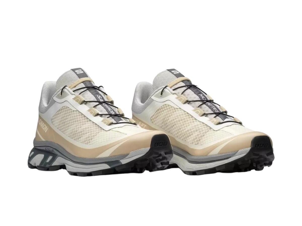 https://d2cva83hdk3bwc.cloudfront.net/L47774300-salomon-xt-6-ft-gray-violet-2.jpg