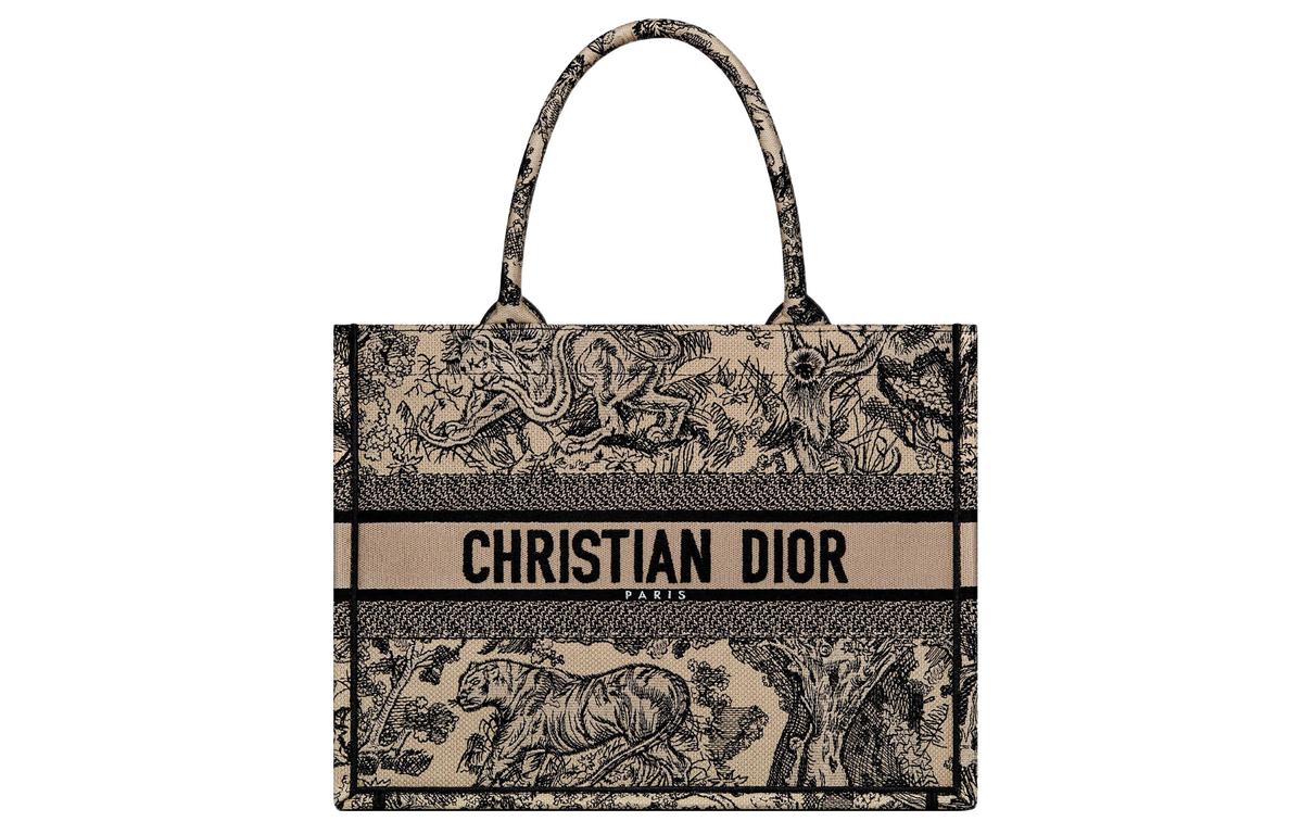 https://d2cva83hdk3bwc.cloudfront.net/M1296ZTDT-M16E-dior-booktote-embroidery-tote-bag-shopping-bag-handbag-medium-size-women-s-brown-1.jpg