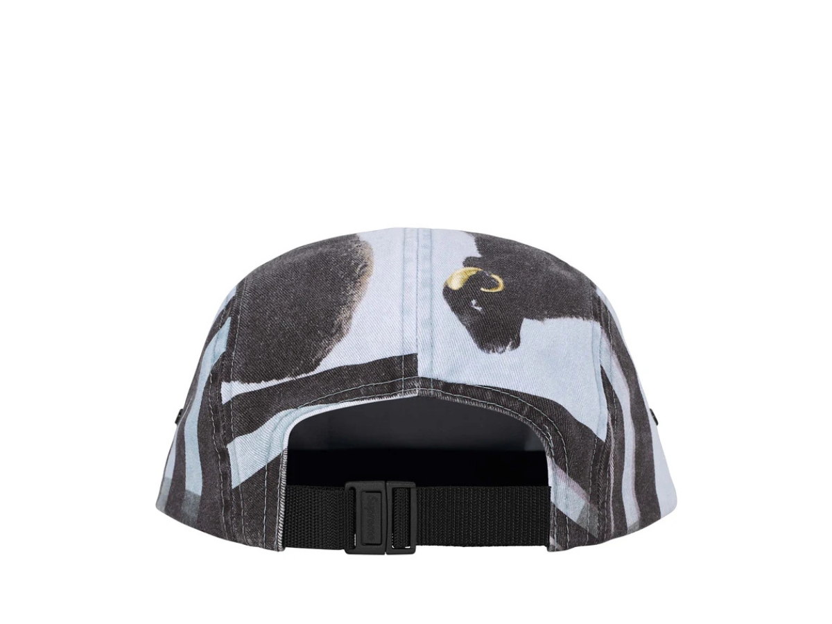 https://d2cva83hdk3bwc.cloudfront.net/SUP-HATASDHCCBRP9O-supreme-damien-hirst-camp-cap-black-3.jpg
