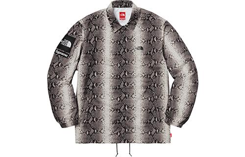 https://d2cva83hdk3bwc.cloudfront.net/SUP-SS18-384-supreme-the-north-face-snakeskin-taped-seam-coaches-jacket-1.jpg