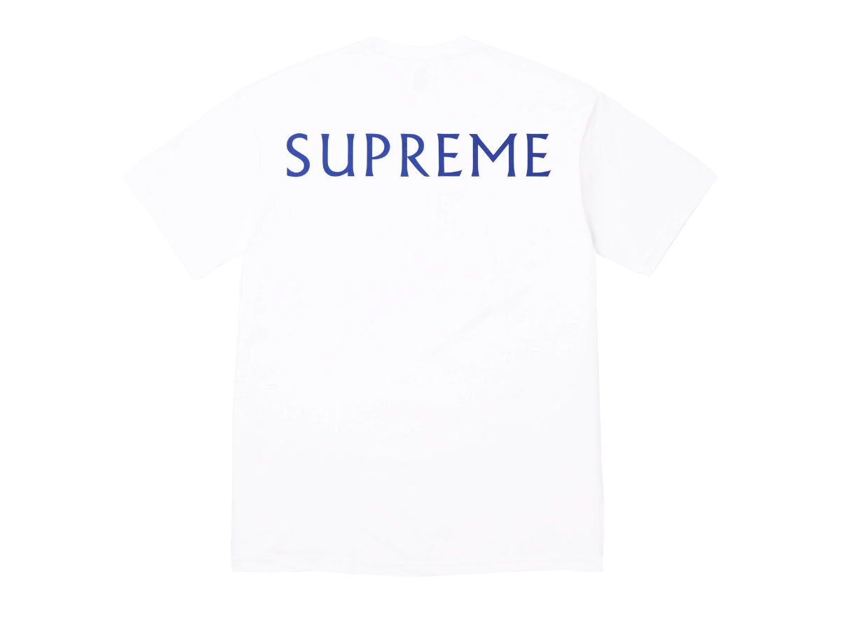 https://d2cva83hdk3bwc.cloudfront.net/SUP-TSASDHTWRO56-supreme-damien-hirst-tee-white-2.jpg
