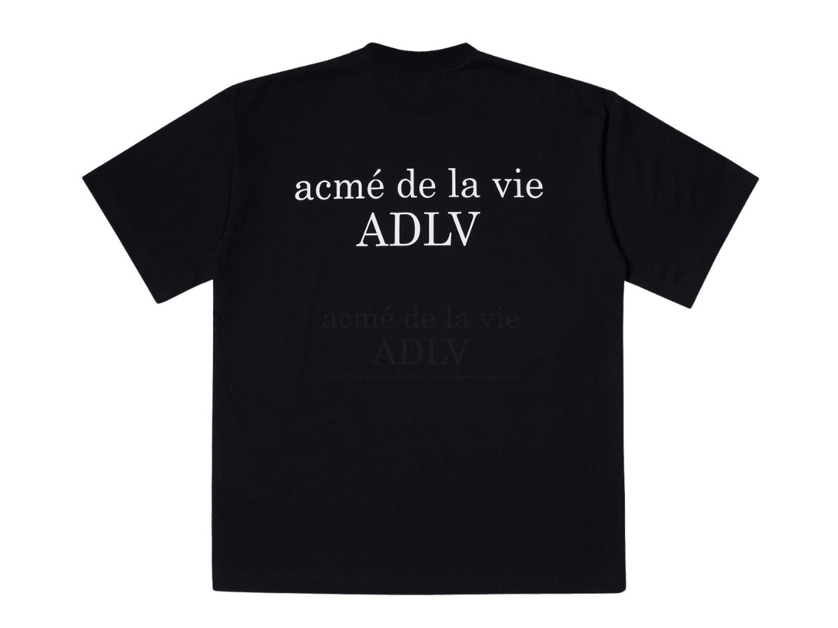 https://d2cva83hdk3bwc.cloudfront.net/acm--de-la-vie-baby-face-skydiving-short-sleeve-t-shirt-black-2.jpg