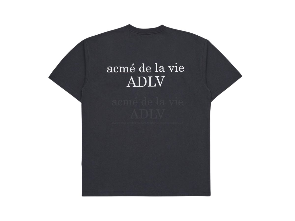 https://d2cva83hdk3bwc.cloudfront.net/acm-de-la-vie-basic-short-sleeve-t-shirt-2-charcoal-2.jpg
