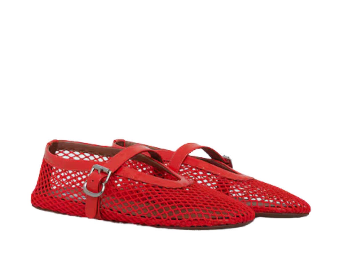 https://d2cva83hdk3bwc.cloudfront.net/alaia-ballet-flats-in-fishnet-orange-w-2.jpg