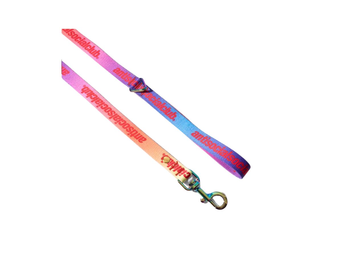 https://d2cva83hdk3bwc.cloudfront.net/anti-social-social-club-restraint--dog-leash--multicolor-2.jpg
