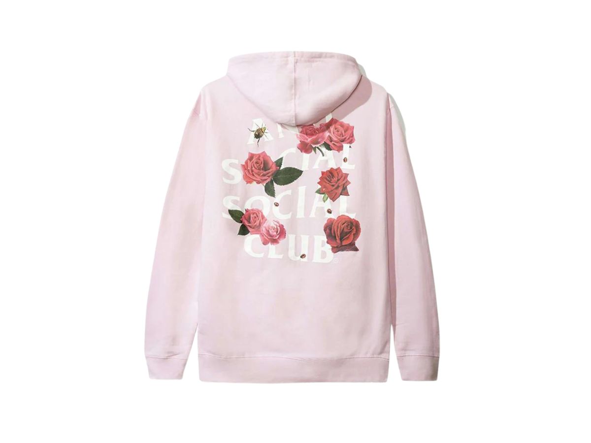 https://d2cva83hdk3bwc.cloudfront.net/anti-social-social-club-smells-bad-hoodie-pink-2.jpg