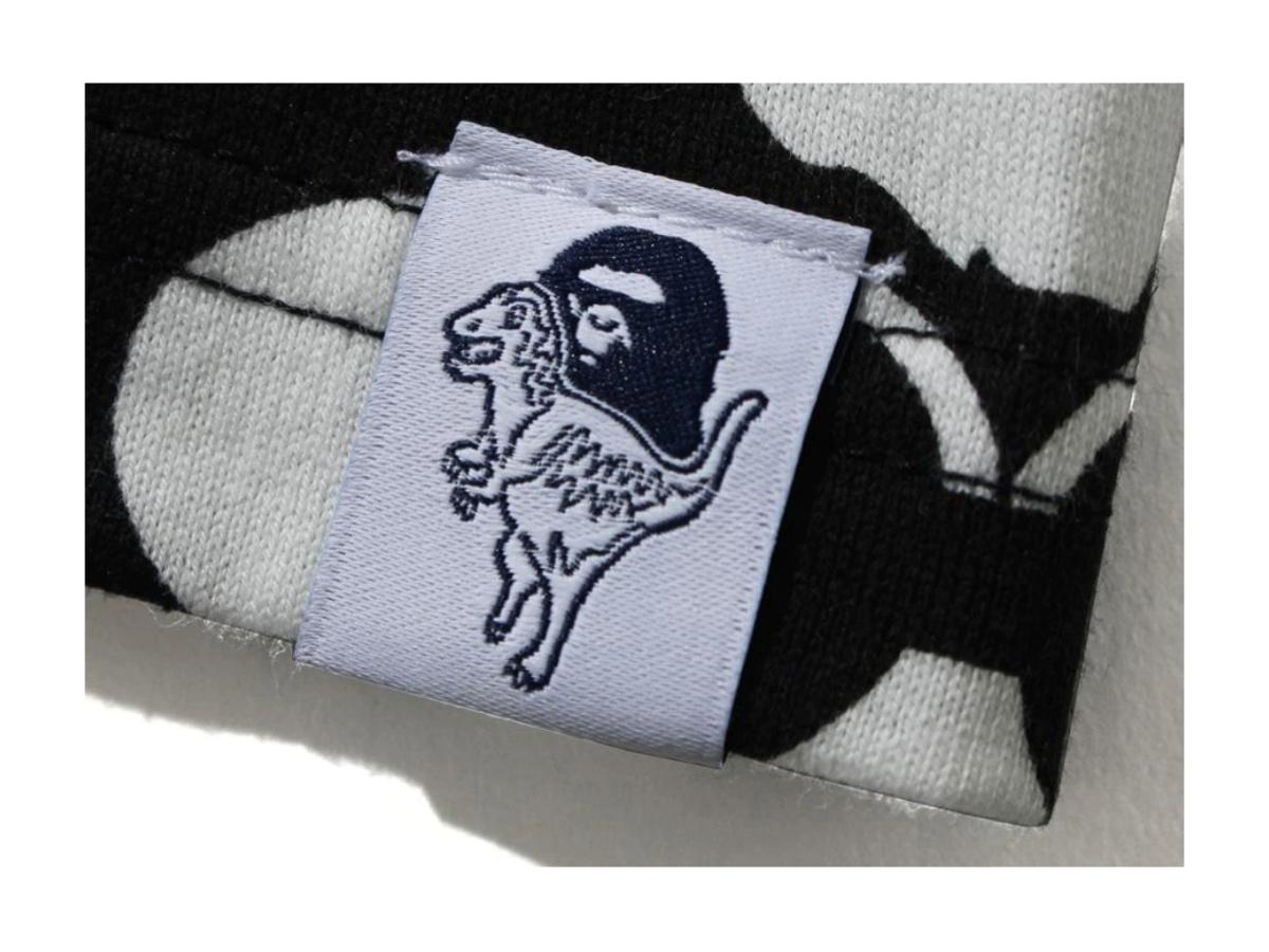 https://d2cva83hdk3bwc.cloudfront.net/bape-x-coach-tee-black-3.jpg