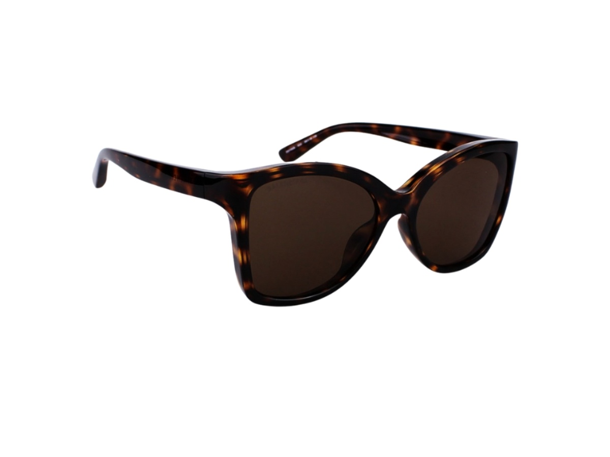 https://d2cva83hdk3bwc.cloudfront.net/bb0150s-002-58-balenciaga-bb0150s-002-58-in-havana-plastic-frame-with-brown-lenses-3.jpg