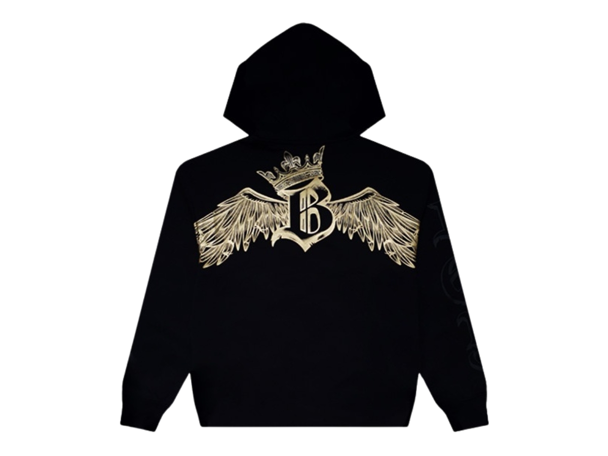 https://d2cva83hdk3bwc.cloudfront.net/boy-london-hoodies-wings-collection-black-2.jpg