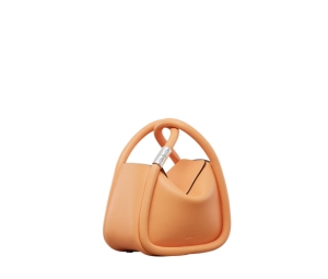 Buy Boyy Wonton 20 In Smooth Calfskin Leather With Metal Hardware Cantaloupe at Sasom – Authentic and Ready to Ship