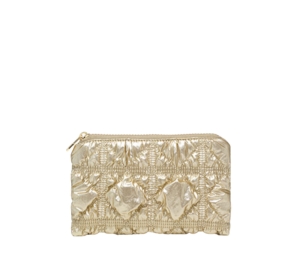 Carlyn Poing Pouch In Nylon-PU With Gold Hardware Gold