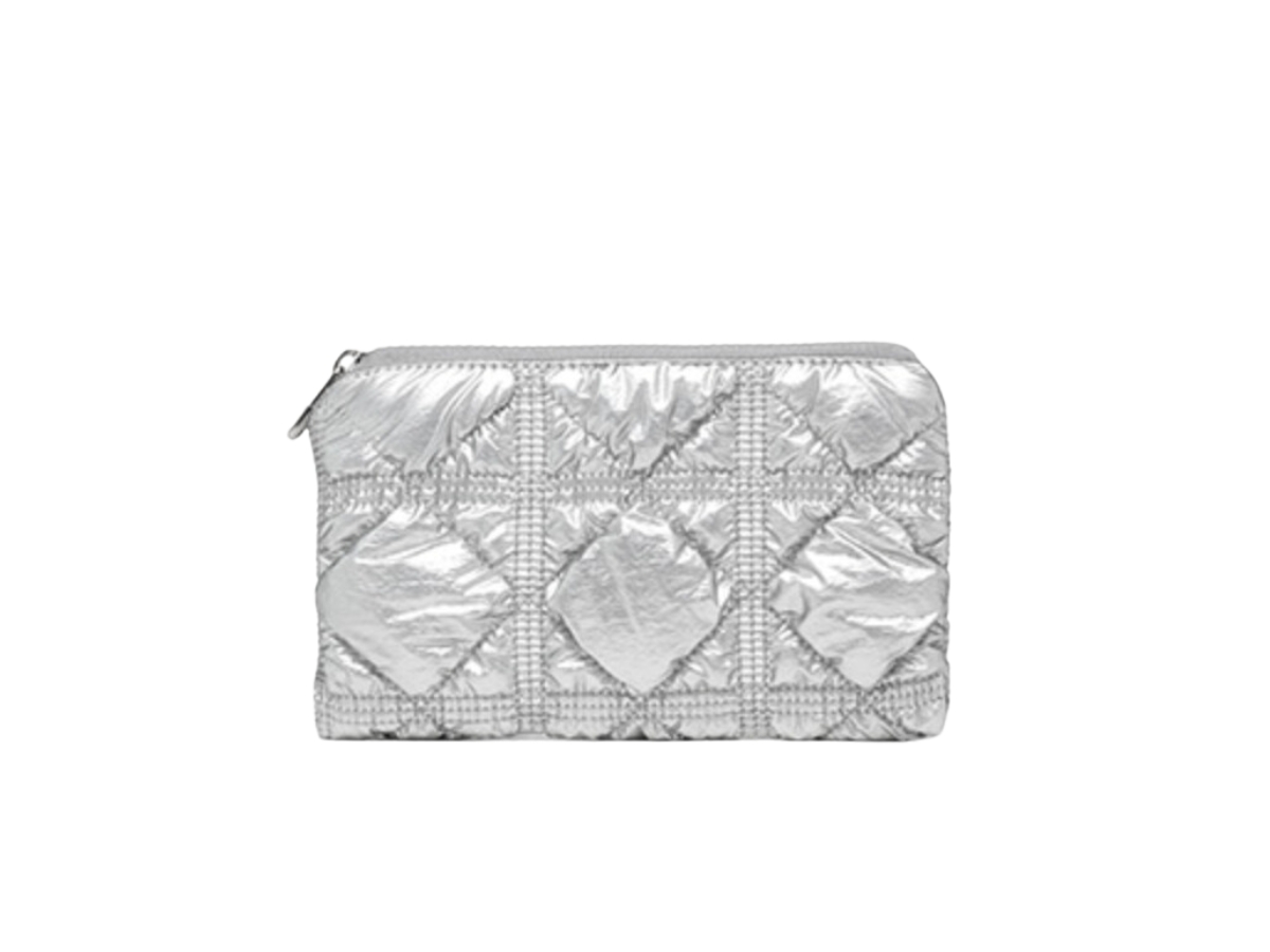 https://d2cva83hdk3bwc.cloudfront.net/carlyn-poing-pouch-in-nylon-pu-with-silver-hardware-silver-1.jpg