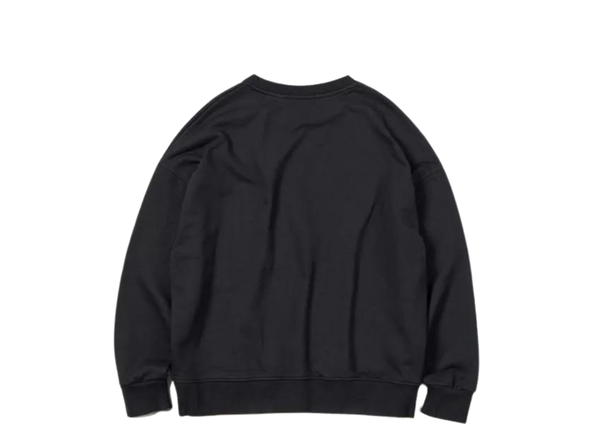 https://d2cva83hdk3bwc.cloudfront.net/carnival-academy-crewneck-black-ss23-2.jpg