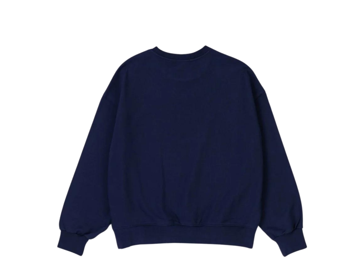 https://d2cva83hdk3bwc.cloudfront.net/carnival-academy-crewneck-navy--fw23--2.jpg