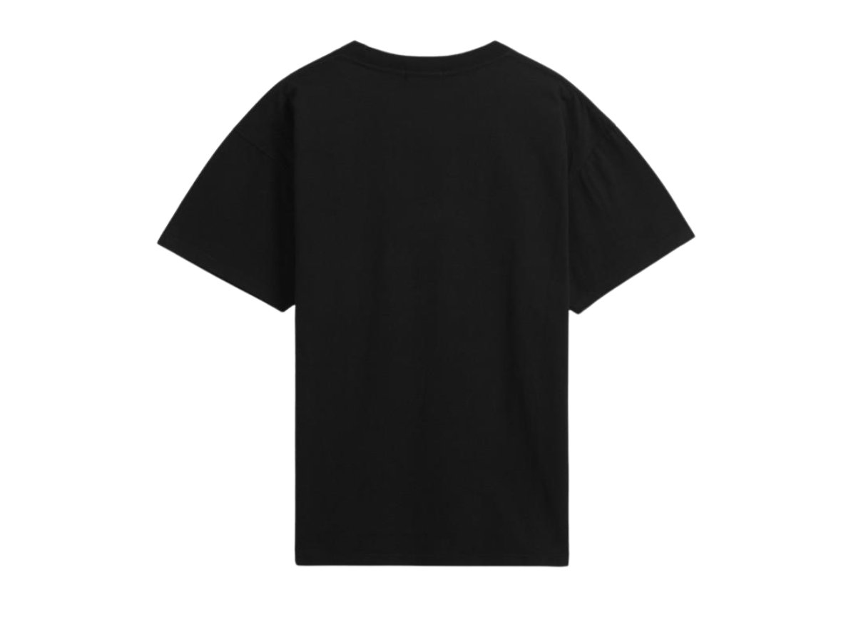https://d2cva83hdk3bwc.cloudfront.net/carnival-iconic-chest-logo-t-shirt-black-ss24-2.jpg