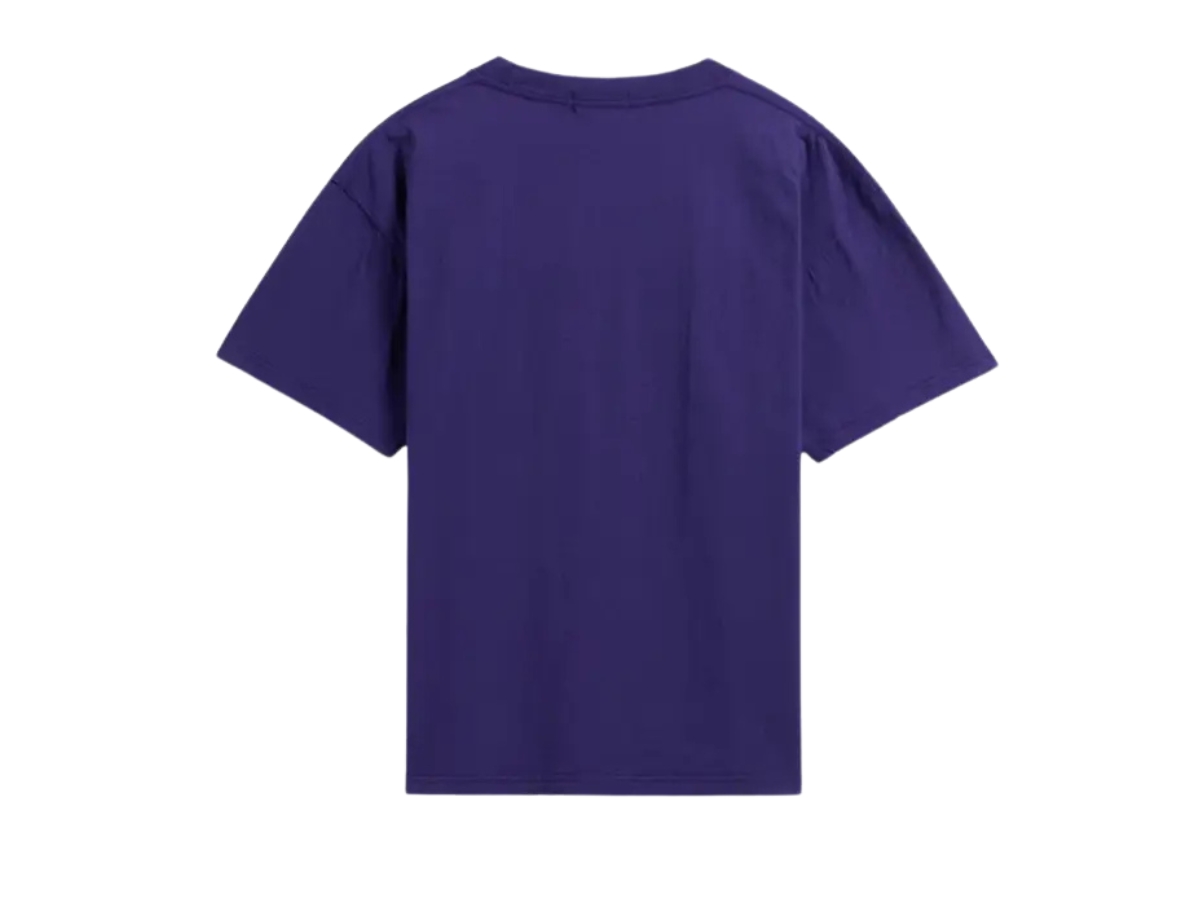 https://d2cva83hdk3bwc.cloudfront.net/carnival-iconic-chest-logo-t-shirt-purple-ss24-2.jpg