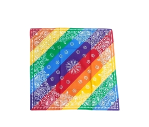 Carnival Pride Paisley Bandana