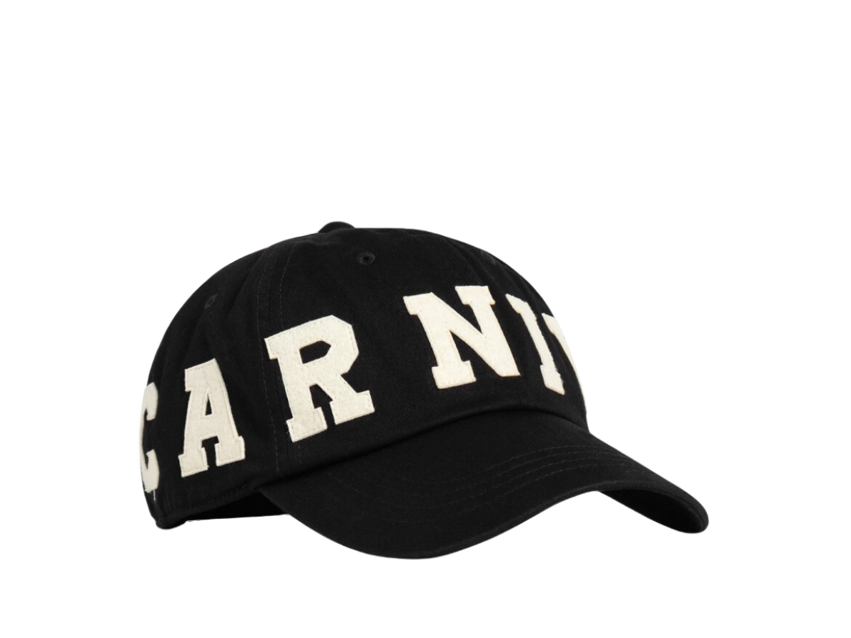 https://d2cva83hdk3bwc.cloudfront.net/carnival-radius-cap-black-fw24-2.jpg