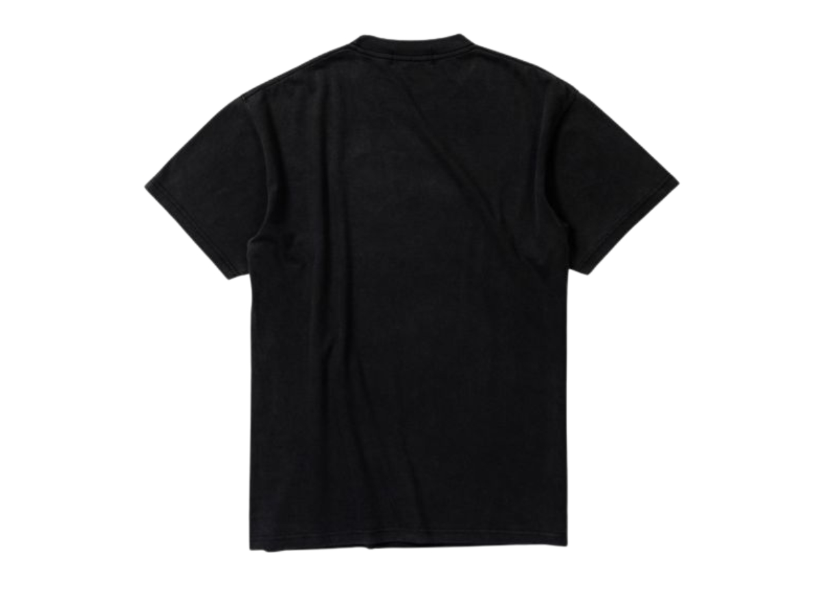 https://d2cva83hdk3bwc.cloudfront.net/carnival-x-bleach-ichigo-evolution-washed-t-shirt-black-2.jpg