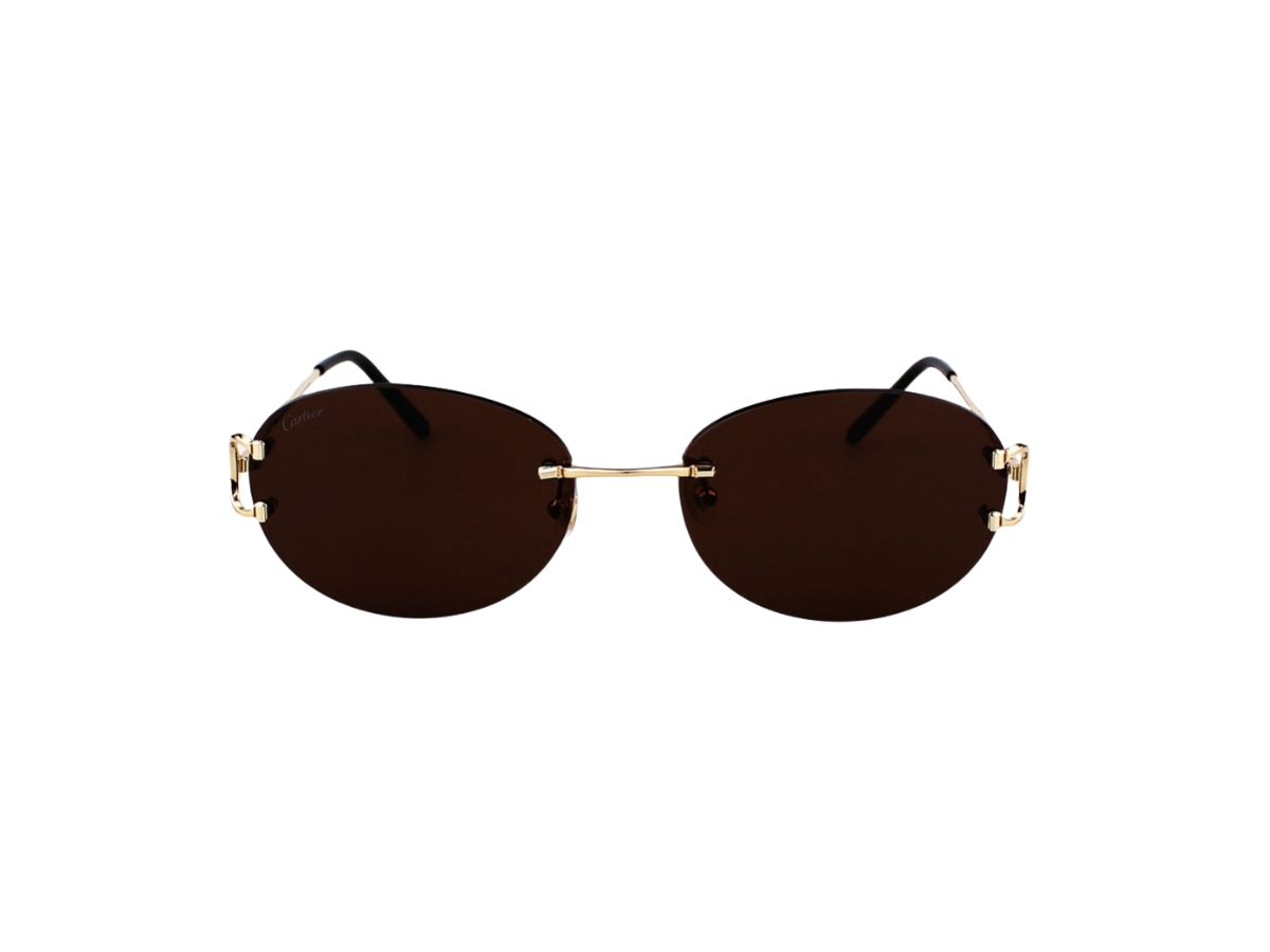 https://d2cva83hdk3bwc.cloudfront.net/cartier-ct0029rs-002-sunglasses-in-yellow-gold-titanium-frame-with-brown-lenses-2.jpg
