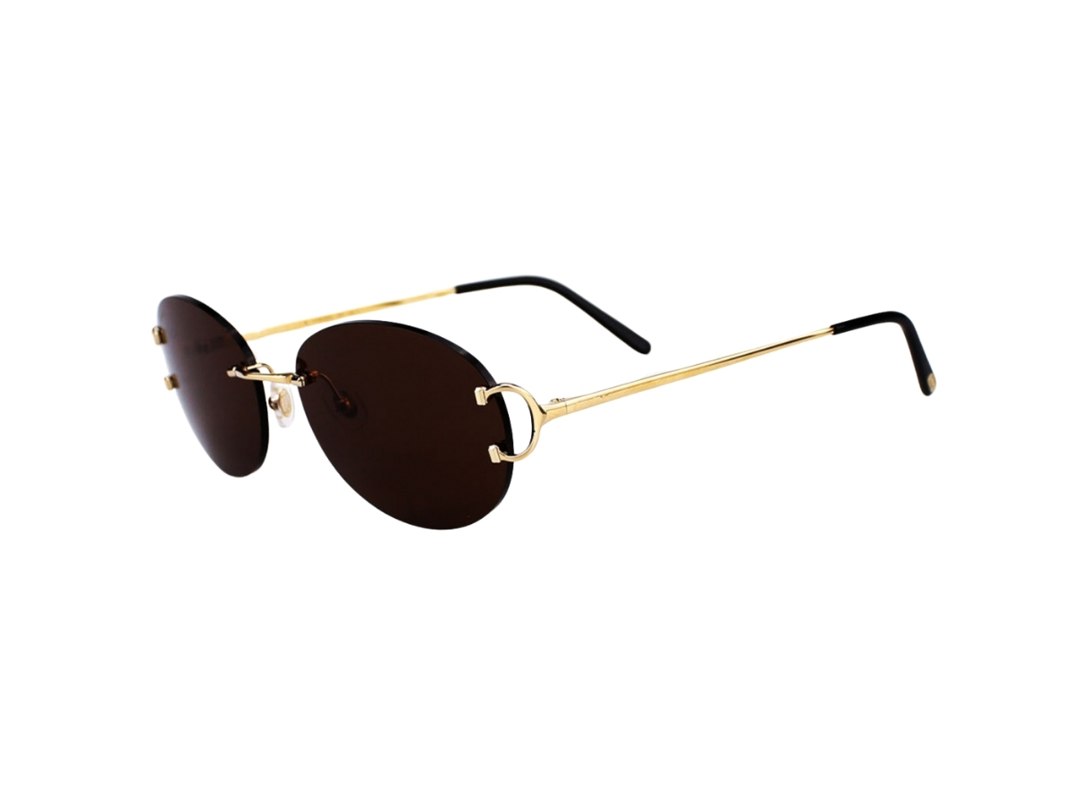 https://d2cva83hdk3bwc.cloudfront.net/cartier-ct0029rs-002-sunglasses-in-yellow-gold-titanium-frame-with-brown-lenses-5.jpg