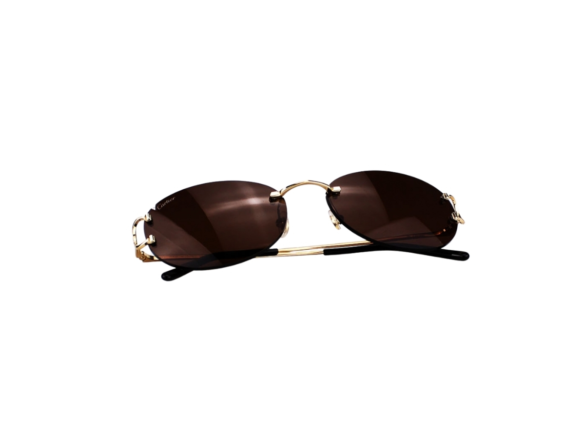https://d2cva83hdk3bwc.cloudfront.net/cartier-ct0029rs-002-sunglasses-in-yellow-gold-titanium-frame-with-brown-lenses-6.jpg
