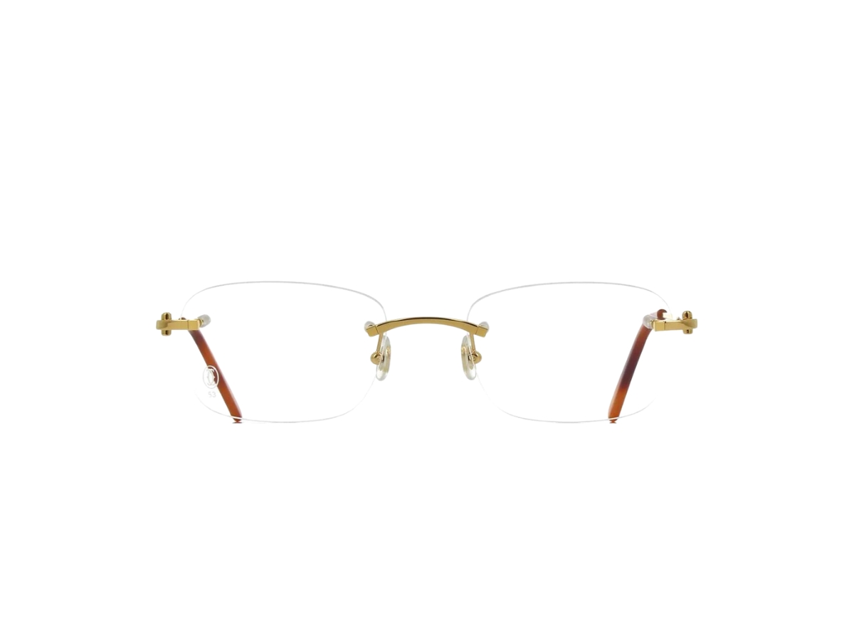 https://d2cva83hdk3bwc.cloudfront.net/cartier-ct0050o-glasses-in-gold-plate-with-demo-lens-2.jpg