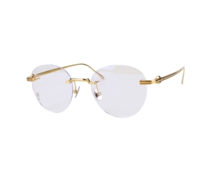 Cartier CT0342O Glasses In Titanium With Demo Lens